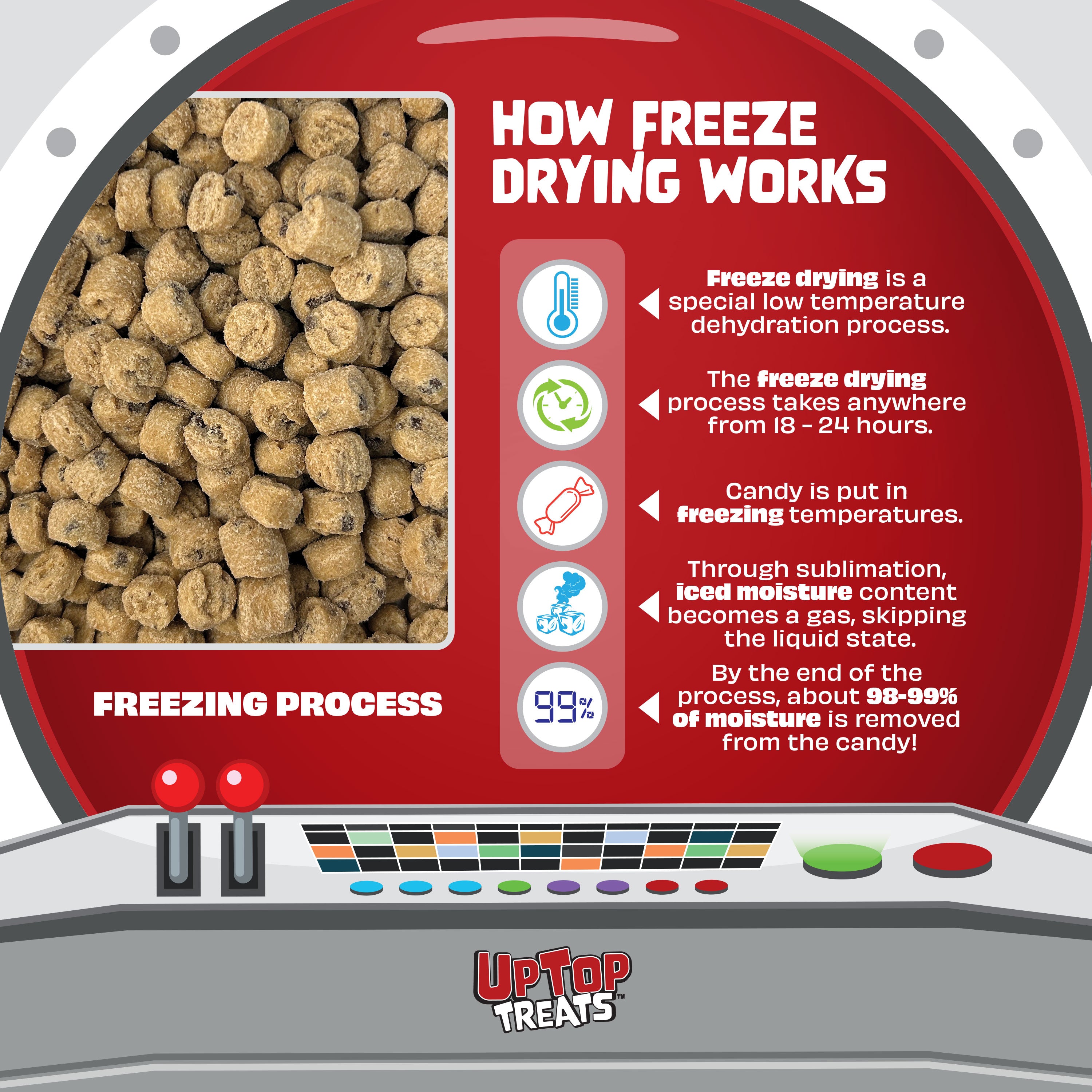 Freeze-Dried Dessert - Variety Pack