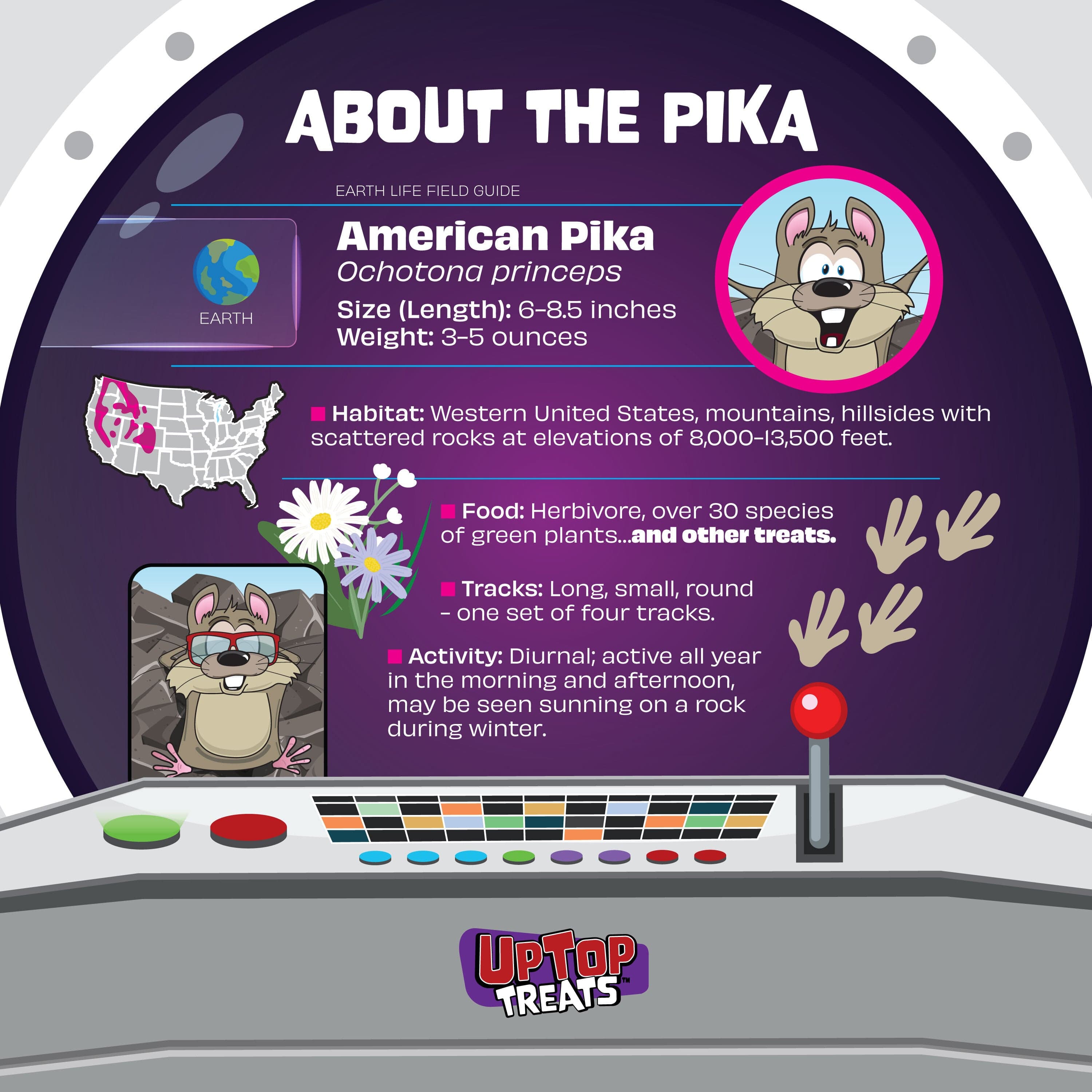 Mini - Holiday - Freeze Dried Candy Sampler Box