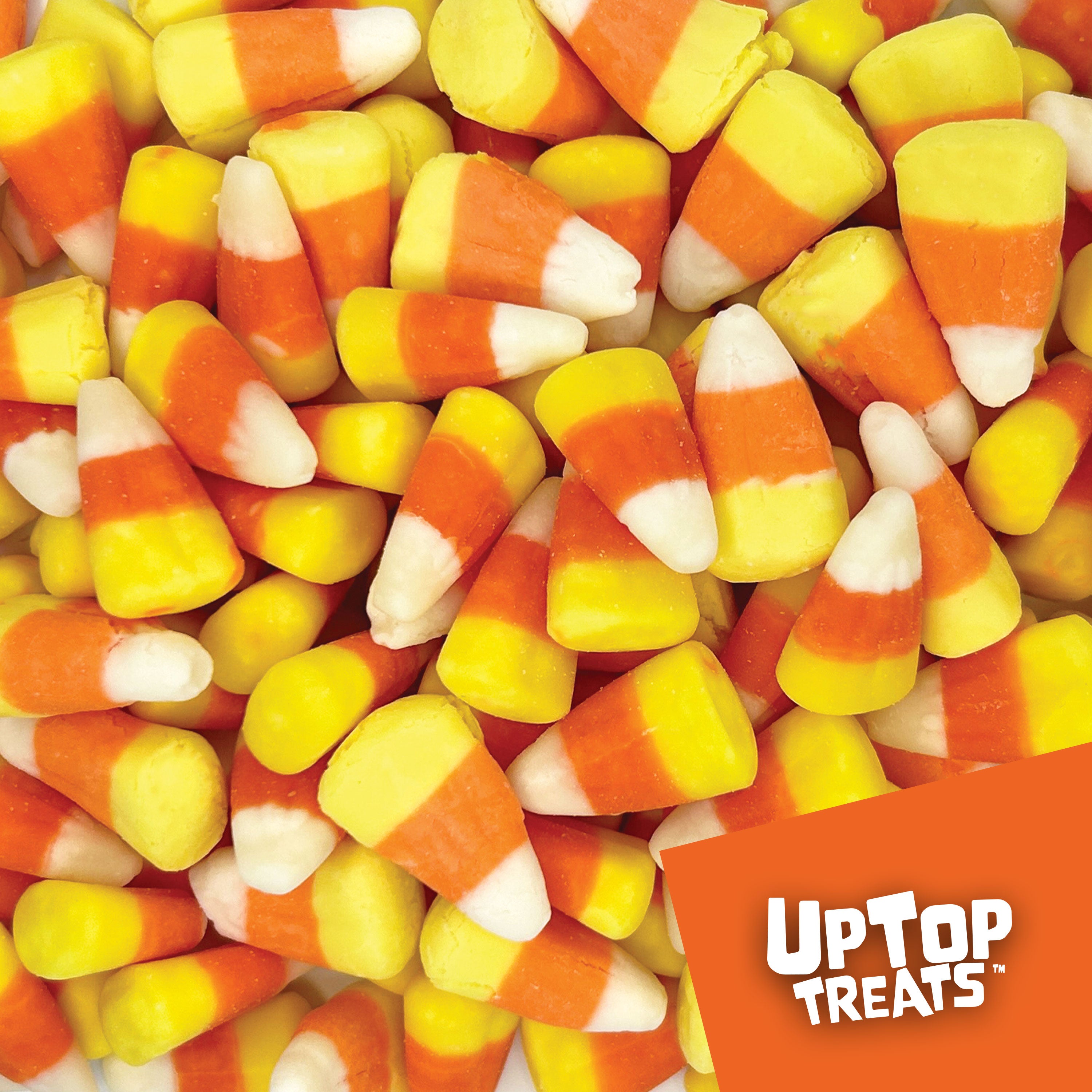 Freeze Dried Candy Corn - Halloween Candy